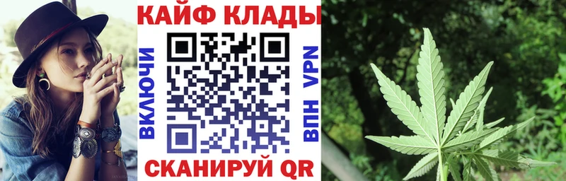 Купить наркотики Злынка ТГК  СОЛЬ  Меф мяу мяу  Галлюциногенные грибы  Гашиш  КОКАИН  АМФЕТАМИН 