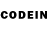 Галлюциногенные грибы GOLDEN TEACHER Adam 13