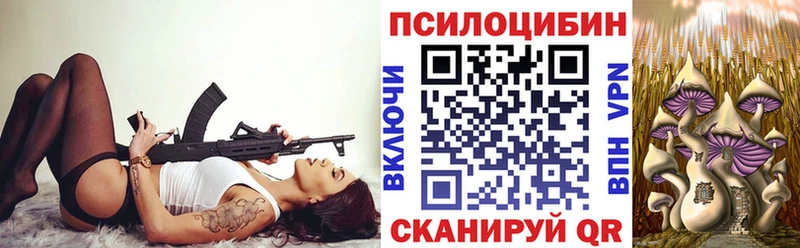 Псилоцибиновые грибы мухоморы Злынка